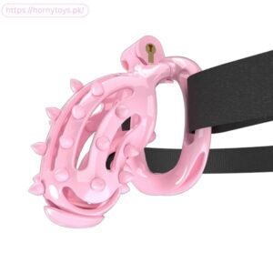 Chastity Cage with Chastity Belt