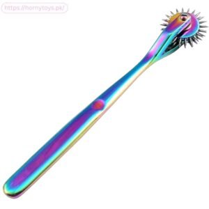 Pinwheel Stainless Steel 2 Head