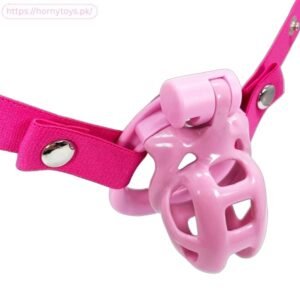 Chastity Lock Double Curved Shape